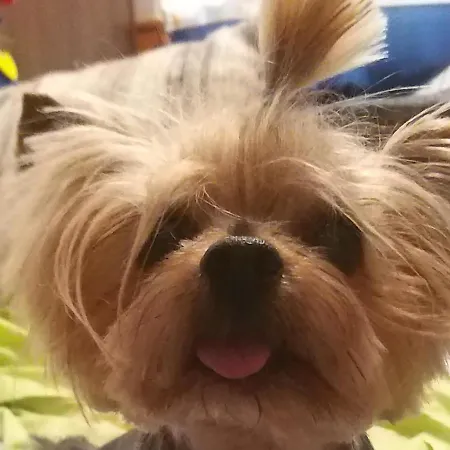 Ble Mavi - For 2 (adults Only) Frühstückspension