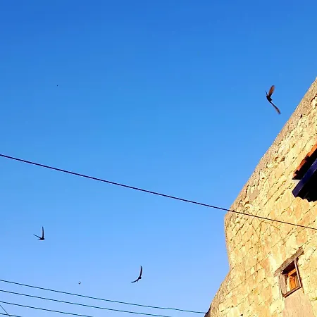 Frühstückspension Ble Mavi - For 2 (adults Only)