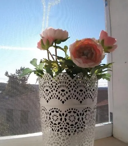 Ble Mavi - For 2 (adults Only)