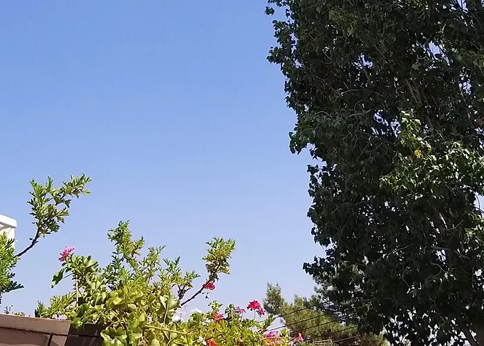 Bed & Breakfast Ble Mavi - For 2 (adults Only)