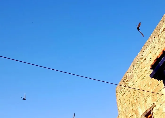 Bed & Breakfast Ble Mavi - For 2 (adults Only)