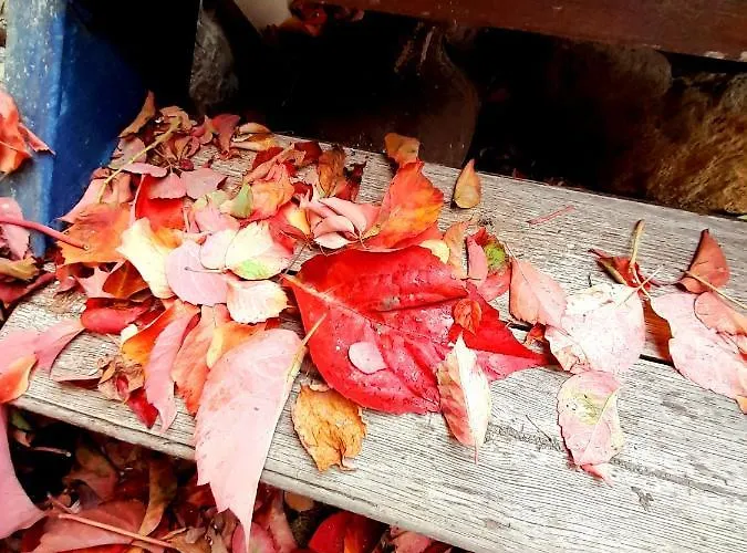 Ble Mavi - For 2 (adults Only) Bed & Breakfast 3*