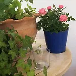 Ble Mavi - For 2 (adults Only) Bed & Breakfast