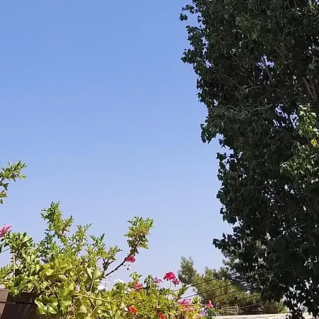 Bed and breakfast Ble Mavi - For 2 (adults Only)