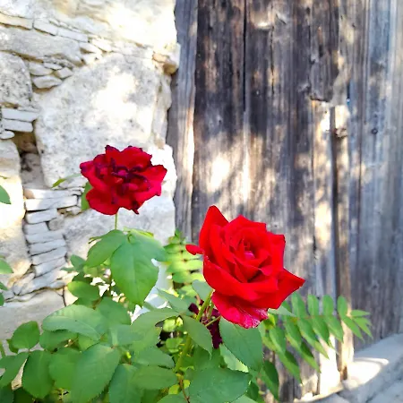 Bed & Breakfast Ble Mavi - For 2 (adults Only)