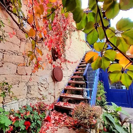 Bed and Breakfast Ble Mavi - For 2 (adults Only) 4*
