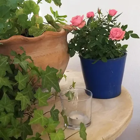 Ble Mavi - For 2 (adults Only) Bed and Breakfast