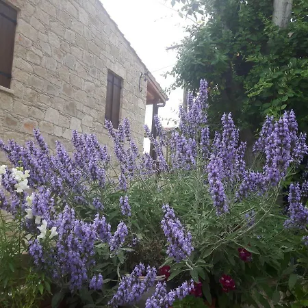 Ble Mavi - For 2 (adults Only) Bed & Breakfast 3*